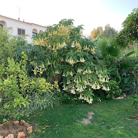 A Tranquil Garden Apartment, Carvoeiro - Benagil Exterior photo