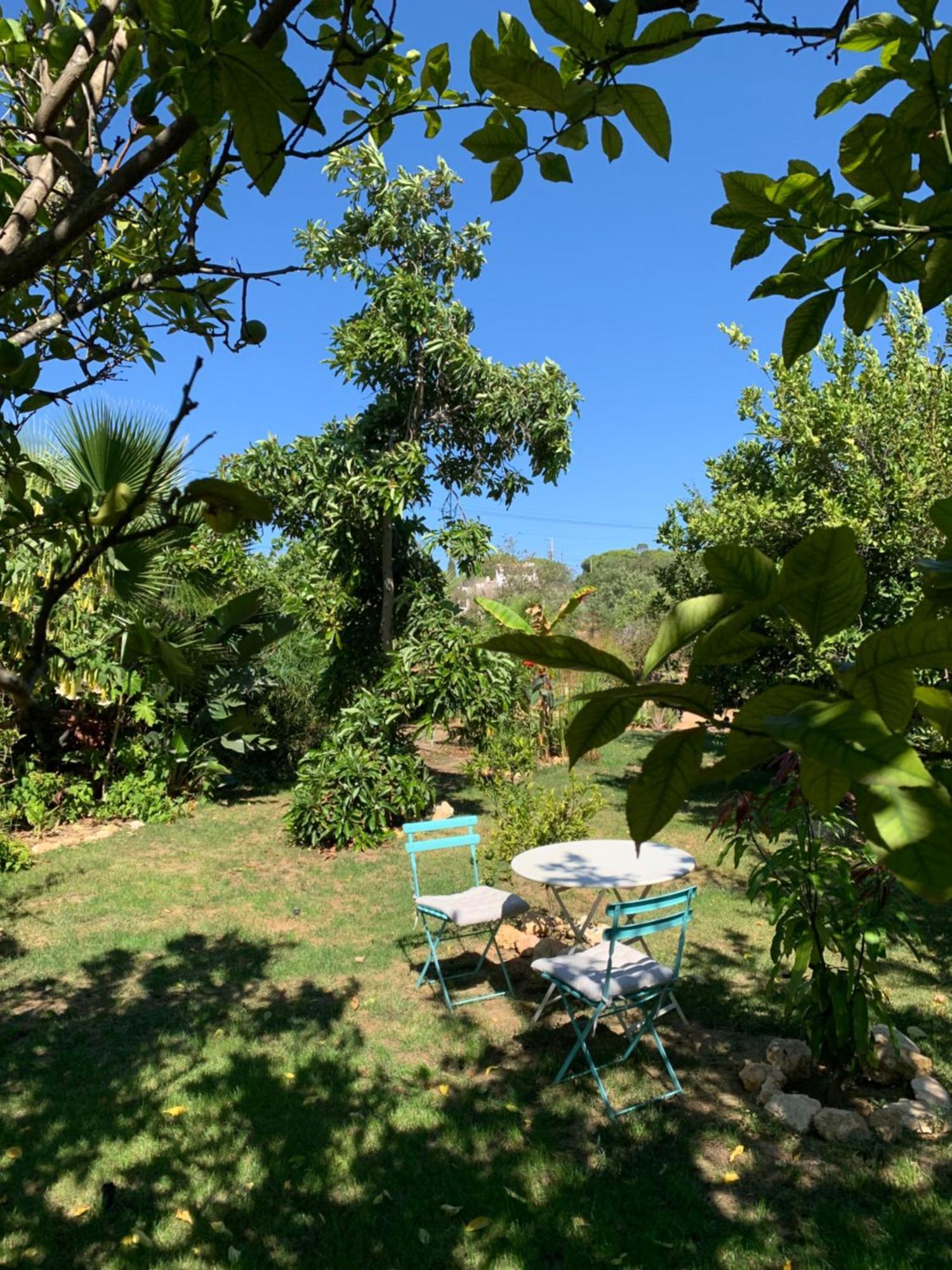 A Tranquil Garden Apartment, Carvoeiro - Benagil